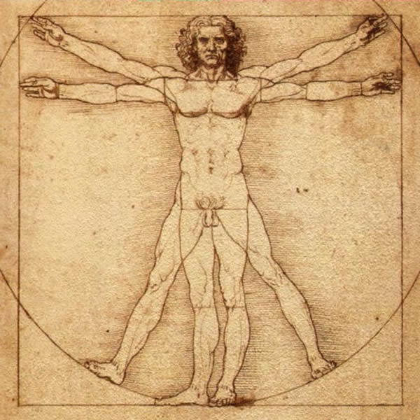 the famous da vinci drawing